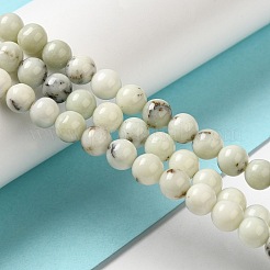 Natural Dendritic Jasper Beads Strands&nbsp;G-H298-A15-03