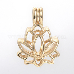 Alloy Diffuser Locket Pendants&nbsp;PALLOY-S062-40G