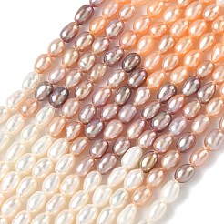 Natural Cultured Freshwater Pearl Beads Strands&nbsp;PEAR-C004-14B