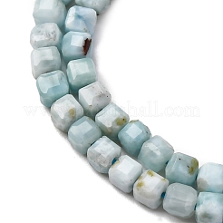Natural Larimar Beads Strands&nbsp;G-F803-C01-02