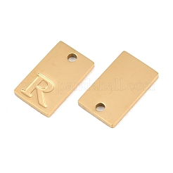 304 Stainless Steel Pendants&nbsp;SA-CBA1839-21G-R