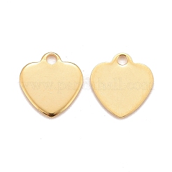 201 Stainless Steel Charms&nbsp;LS-STAS-K217-63G