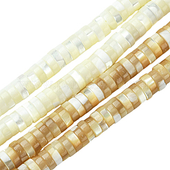 1 Strand Natural Trochid Shell/Trochus Shell Beads Strands&nbsp;SSHEL-YW0001-12A