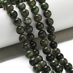 Natural Green Diopside Beads Strands&nbsp;G-K382-B01-02