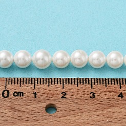Shell Pearl Bead Strands&nbsp;X-BSHE-L026-03-6mm