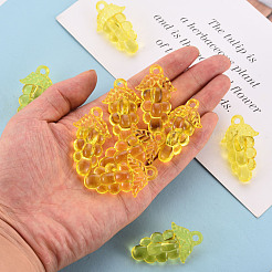 Autumn Theme Transparent Acrylic Beads&nbsp;TACR-S154-60B-916
