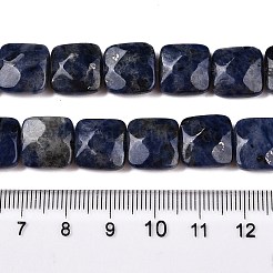 Natural Sodalite Beads Strands&nbsp;G-T138-169