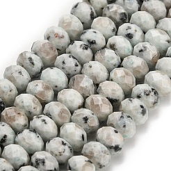 Natural Sesame Jasper Beads Strands&nbsp;G-Z111-A38