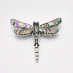 Abalone Shell/Paua Shell Brooches/Pendants&nbsp;SHEL-S275-39A