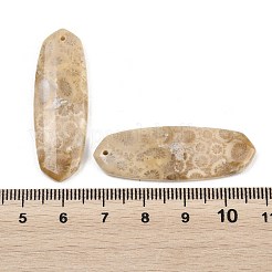 Natural Fossil Coral Pendants&nbsp;G-B187-01C-10