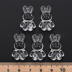 Transparent Acrylic Beads&nbsp;MACR-S373-81-B01