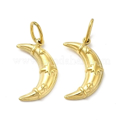 Ion Plating(IP) 304 Stainless Steel Pendants&nbsp;STAS-F284-04G
