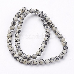 Natural Dalmatian Jasper Stone Bead Strands&nbsp;X-G-R193-14-6mm