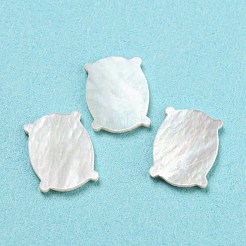 Natural Sea Shell Cabochons&nbsp;SHEL-D079-08
