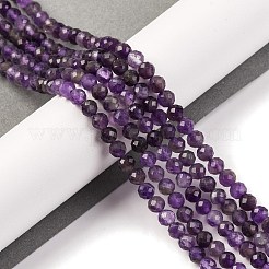 Natural Amethyst Beads Strands&nbsp;G-F770-C07-02AB