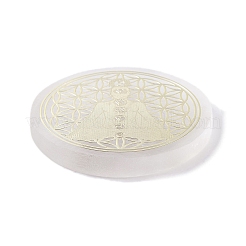 Flat Round Natural Selenite Slice Coasters&nbsp;DJEW-C015-02K
