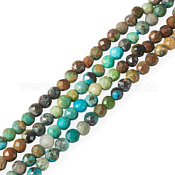 1 Strand Natural Turquoise Beads Strands&nbsp;G-TA0003-46