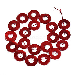 Spray Painted Natural Freshwater Shell Beads Strands&nbsp;SHEL-T020-16