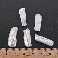 Natural Biwa Pearl Beads&nbsp;LS-PEAR-N020-H01
