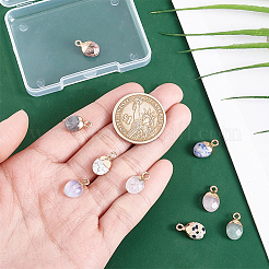 9Pcs 9 Colors Electroplate Gemstone Charms&nbsp;G-HY0001-78