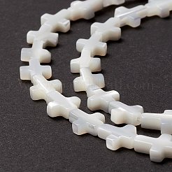 Natural Trochid Shell/Trochus Shell Beads&nbsp;SSHEL-O0001-22B
