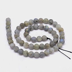Round Natural Labradorite Bead Strands&nbsp;G-L448-24-10mm