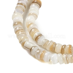 Natural Freshwater Shell Beads Strands&nbsp;BSHE-H109-13A