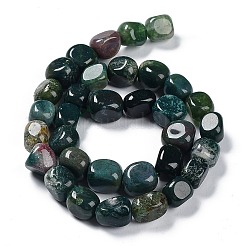 Natural Indian Agate Beads Strands&nbsp;G-C038-02R