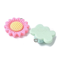 20Pcs 20 Styles Opaque Resin Pendants&nbsp;LS-RESI-V001-02