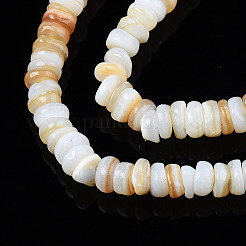 Natural Freshwater Shell Beads Strands&nbsp;X-SHEL-S278-067G