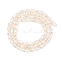 Natural Cultured Freshwater Pearl Beads Strands&nbsp;PEAR-F020-07