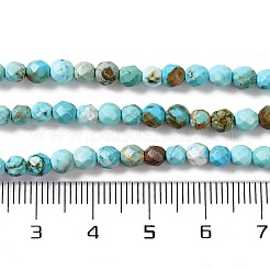 Natural Howlite Beads Strands&nbsp;G-C025-02C-06