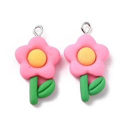 Resin Pendants&nbsp;X-RESI-C002-33