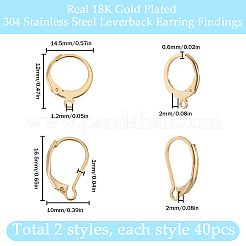 2 Style 304 Stainless Steel Leverback Earring Findings&nbsp;STAS-SC0008-10G
