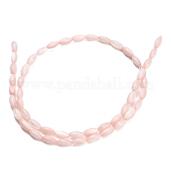 Natural Freshwater Shell Beads Strands&nbsp;SHEL-C010-01F