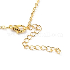 Alloy with Clear Cubic Zirconia Pendant Necklace for Women&nbsp;NJEW-G107-02G