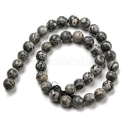 Natural Map Stone/Picasso Stone/Picasso Jasper Beads Strands&nbsp;G-C079-B05-03