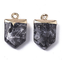Natural Larvikite Pointed Pendants&nbsp;X-G-N326-34B