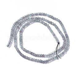 Natural Labradorite Beads Strands&nbsp;G-F596-07