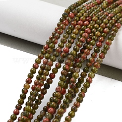 Natural Unakite Beads Strands&nbsp;G-G143-A04-01