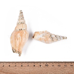 Electroplate Natural Sea Shell Big Pendants&nbsp;SSHEL-Q100-21KCG