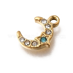 304 Stainless Steel Charms&nbsp;STAS-F318-07G