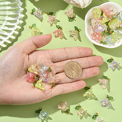 48Pcs 8 Colors Transparent Acrylic Pendants&nbsp;FIND-SC0016-70