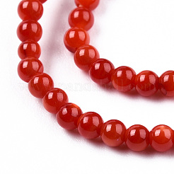 Natural Freshwater Shell Beads Strands&nbsp;SHEL-N026-205A-01