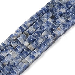 Natural Blue Spot Jasper Beads Strands&nbsp;G-I394-A08