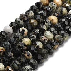 Natural African Turquoise(Jasper) Beads Strands&nbsp;G-Z111-A13-01