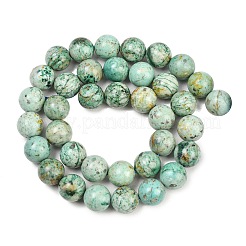 Natural Peruvian Turquoise(Jasper) Beads Strands&nbsp;G-F836-A02-10mm