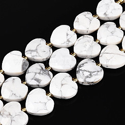 Natural Howlite Beads Strands&nbsp;G-P592-B18-01