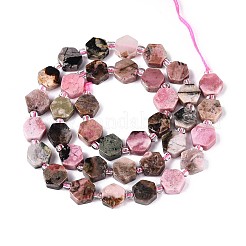 Natural Rhodonite Beads Strands&nbsp;G-P534-A16-01