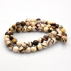 Round Natural Zebra Jasper Beads Strands&nbsp;G-N0120-41-6mm